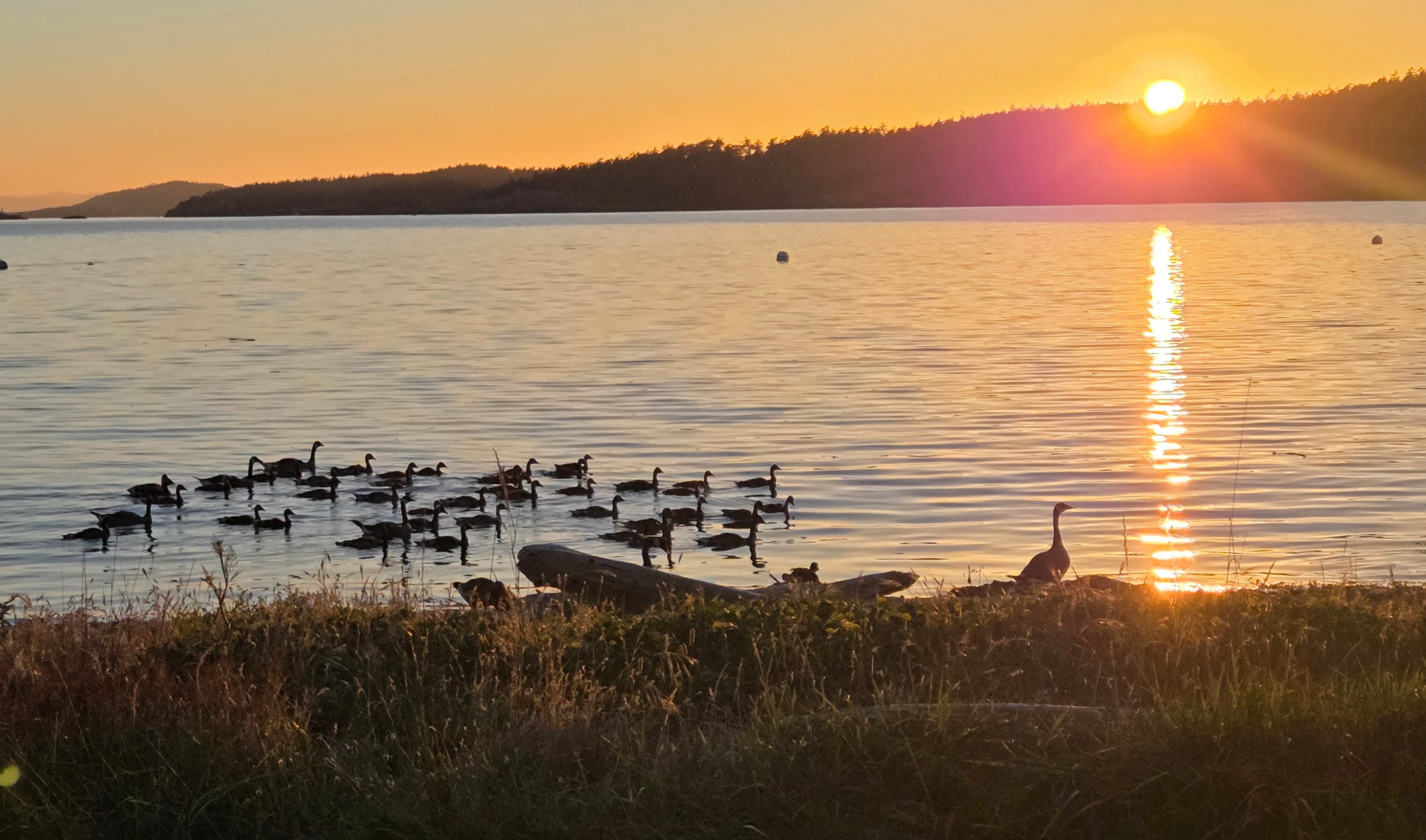 MacKaye Harbor at sunset